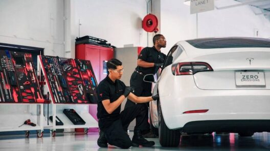 tesla bakımı